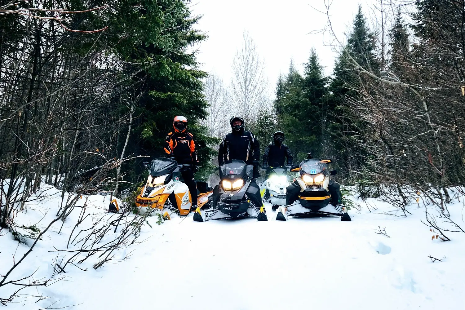 Jake's Restigouche Snowmobile Adventures 