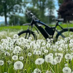 Vélo Restigouche Cycling Inc. 