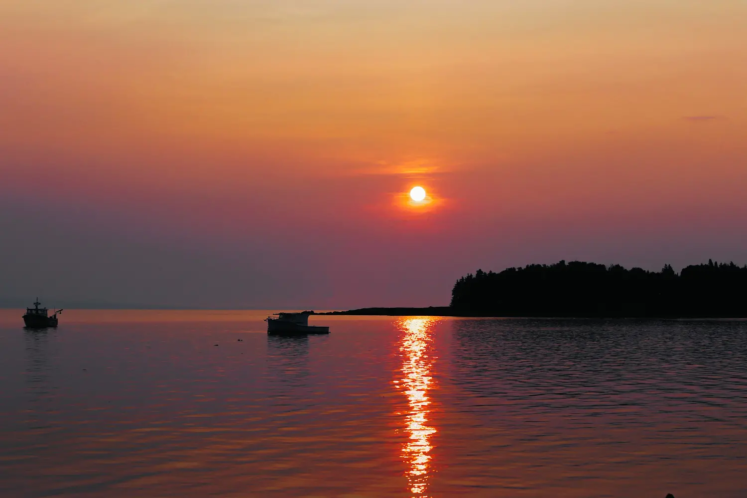 Camping by the Bay