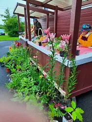 Restigouche Farmers Market