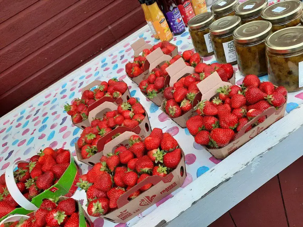 Marché fermier du Restigouche